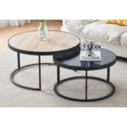 LOT DE 2 TABLES BASSES