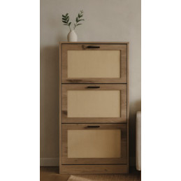 Meuble à chaussures 3 portes