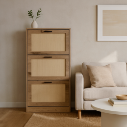 Meuble à chaussures 3 portes