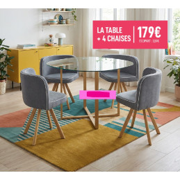 Ensemble Table + 4 Chaises