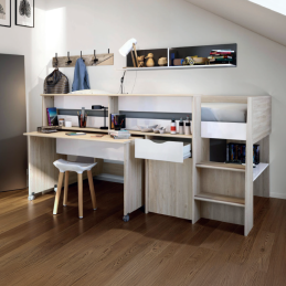 Lit surélevé combiné