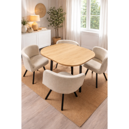 Ensemble table + chaises  -...