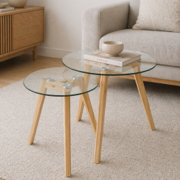 Lot de 2 tables basses...