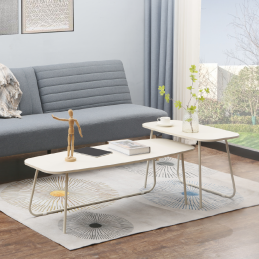 Le lot de 2 tables basses.