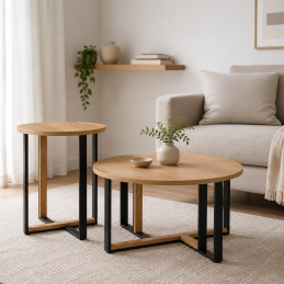 Lot de 2 tables basses...