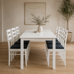 Ensemble table + 6 chaises.