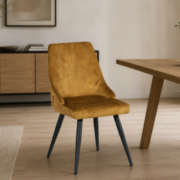 La chaise en velours -...