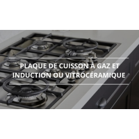 Plaque de cuisson mixte - 2 feux à induction ou vitrocéramique et 2 feux à gaz